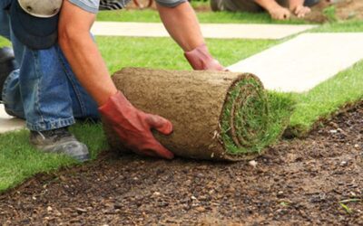 Garden Landscaping Ideas for Hockley Homes